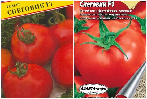 بذور الطماطم ثلج f1