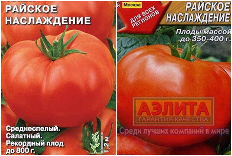 pomidorų sėklos dangaus malonumas