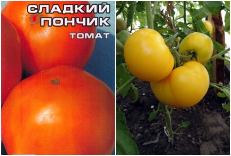 tomaatin siemenet makea munkki