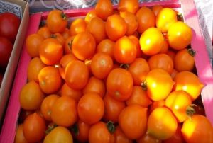 Description and characteristics of the tomato variety Duckling