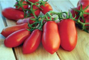 Karakteristike i opis sorte rajčice Lizat ćete prste, njen prinos