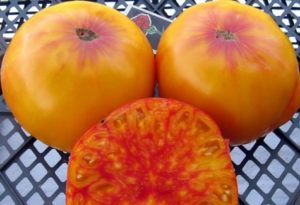 Beschreibung und Anbau der Tomatensorte Virginia Candy