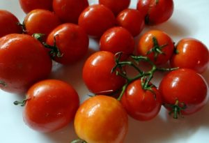 Características y descripción de la variedad de tomate Far North, su rendimiento.