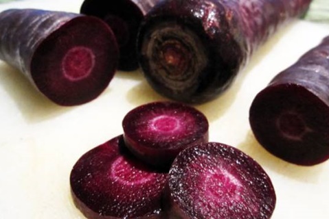 the appearance of purple carrots