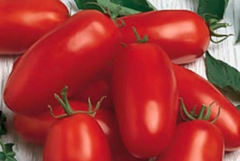 ondermaatse tomaat