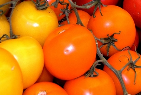 Tomatengiraffe