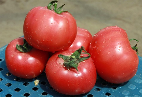 rožinio „Claire“ pomidoro išvaizda