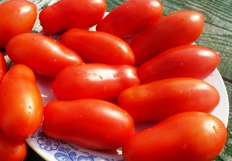 apariencia de los dedos de las señoras de tomate