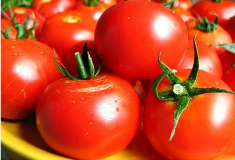 Tomatensorten-Quiz