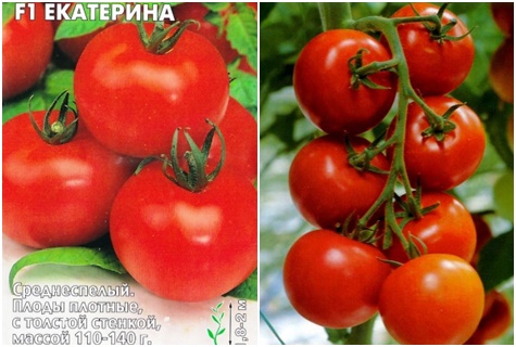 paradajkové semená Ekaterina