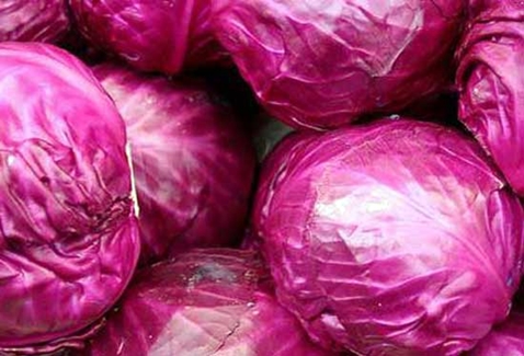appearance of red cabbage
