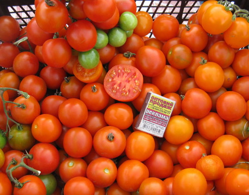 tomaat oranje Kish mish