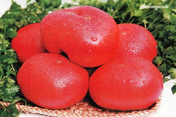kondenzácia na paradajke