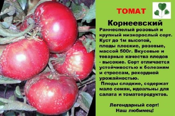 tomato characteristic