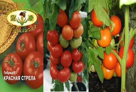 hybrid of vegetables