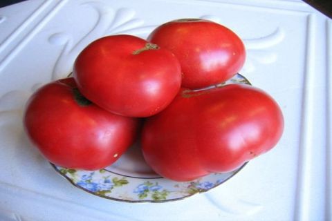 tomates en un florero