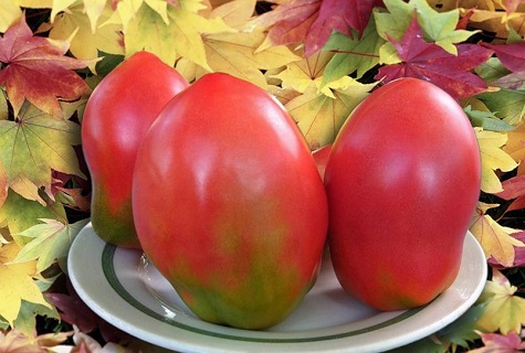 Tomaten und Blätter
