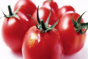 Tomaattilajikkeen Mishka clubfoot ominaisuudet ja kuvaus, sen viljelyn ominaispiirteet