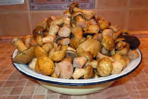 houby v talíři