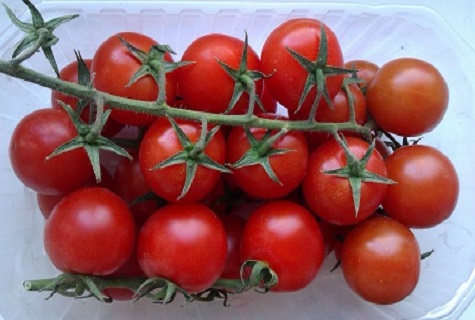 Tomate in Plastik