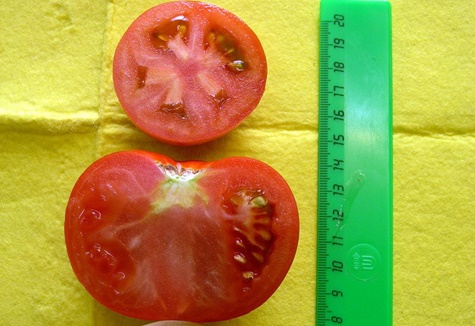 wygląd pomidora Różowy roztwór
