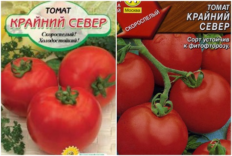 uzak kuzey domates tohumları