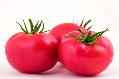 różowa odmiana pomidora samson