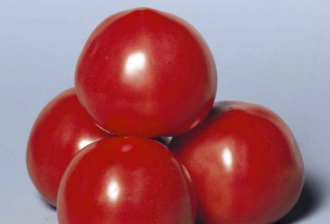 tomātu izskats Rozā šķīdums
