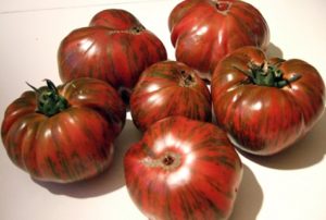 Beschreibung und Eigenschaften der Tomatensorte Gestreifte Schokolade, deren Ertrag