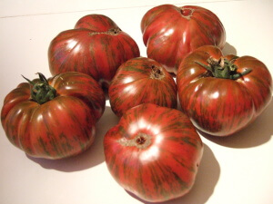 izgled rajčice od rajčice u čokoladi