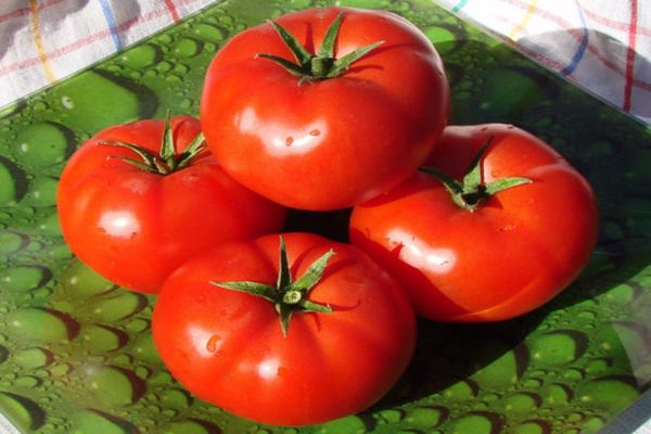 hastalıklara karşı domates