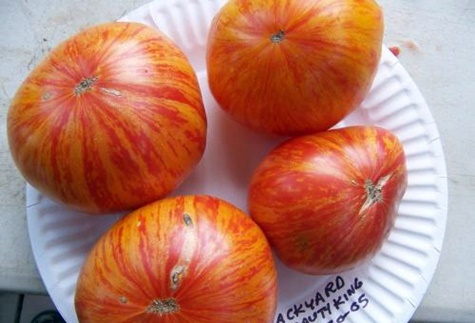 pomodori re di bellezza su un piatto