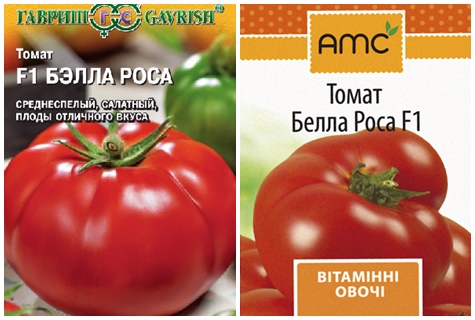 tomaatin siemenet bella kaste