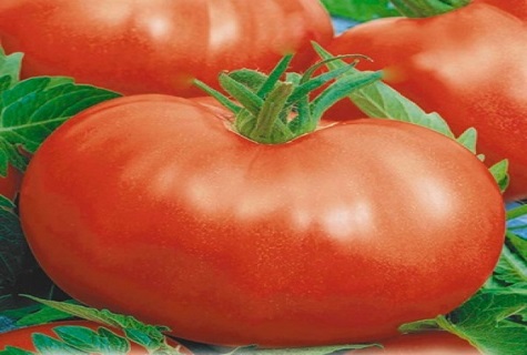 tomat fra et magasin