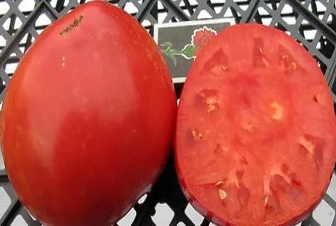 tomaat op de mand