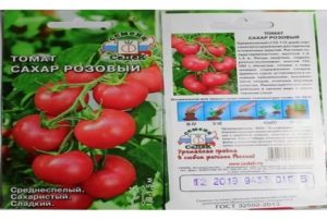 Tomaattilajikkeen ominaisuudet ja kuvaus Ruskea sokeri, sato