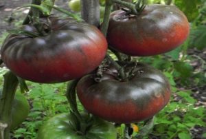Description and characteristics of the tomato variety Black Baron
