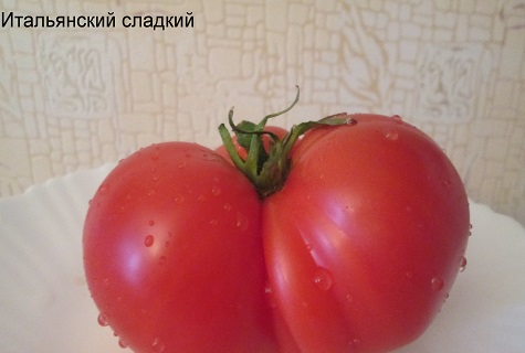 tomate enorme