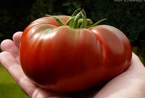 whole tomato