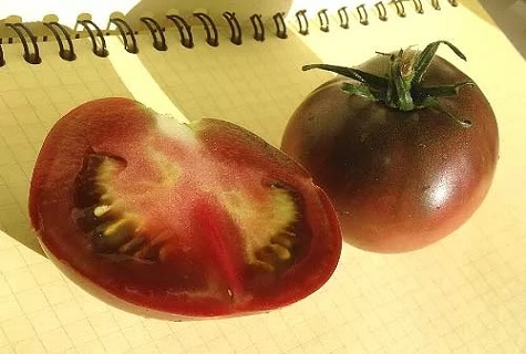 Tomate auf Notizblock
