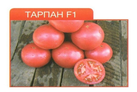 tomatenpiramide