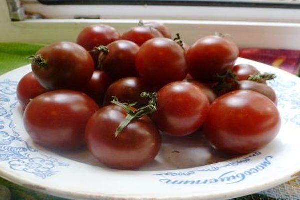 Kirsche schwarze Tomate