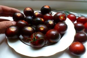 Melno ķiršu tomātu šķirnes raksturojums un apraksts, raža