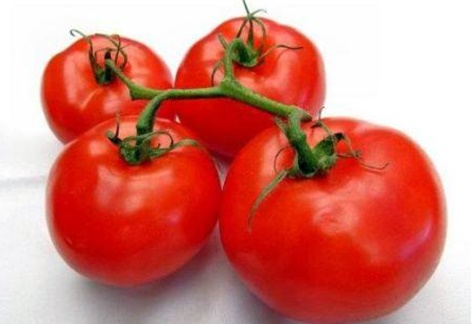 tomaatti Catherine pöydällä