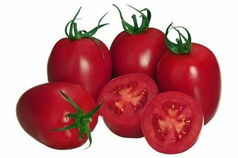 Aussehen der Tomate Pink Pioneer