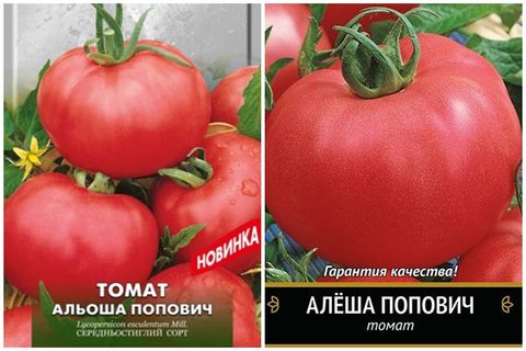 beskrivelse af tomat sort