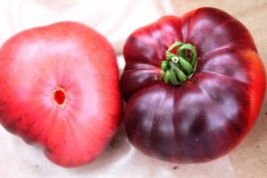 Kenmerken van tomatenrassen Azure Giant en Early Giant, beoordelingen en opbrengst