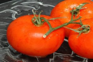Ballı domates çeşidinin tanımı ve verimi