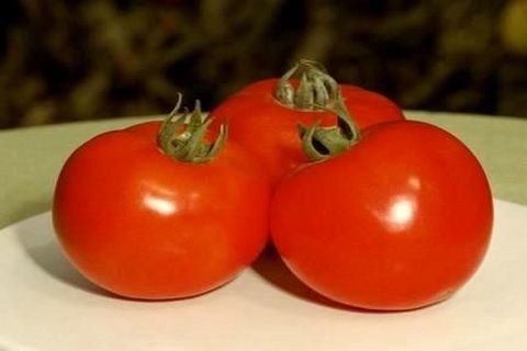 pomidor na talerzu