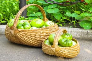 Beskrivelse og egenskaber ved grønne tomatsorter